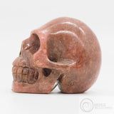 Bustamite Skull (Bus08)