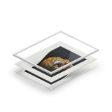 Tiger Eye Star Faery -  Fine Art Print and Passepartout Paper Frame