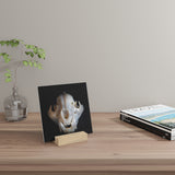 Agate Jaguar Skull - Print with Wooden Stand