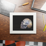 Dendritic Mirror Skull  -  Fine Art Print and Passepartout Paper Frame