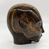 Tiger Eye Star Faery (TE12)