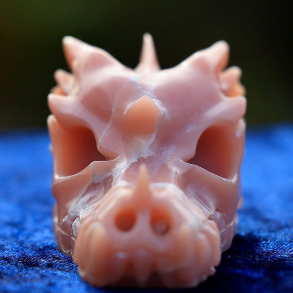 Andean Opal Dragon (AnOp3)