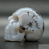 Agate Human Skull (Ag24)
