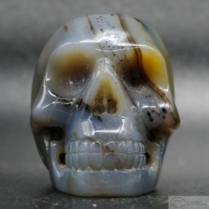 Agate Human Skull (Ag36)
