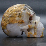Agate Human Skull (Ag45)