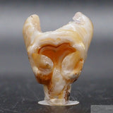 Agate Star Being (Ag48)