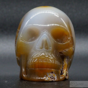 Agate Human Skull (Ag44)