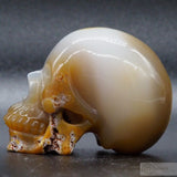 Agate Human Skull (Ag44)