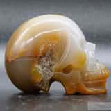 Agate Human Skull (Ag44)