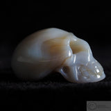 Agate Human Skull