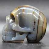 Agate Human Skull (Ag67)