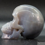 Agate Geode Skull (Ag62)