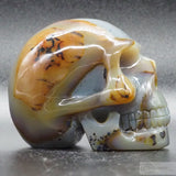 Agate Human Skull (Ag43)