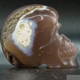 Agate Geode Human Skull (Ag61)