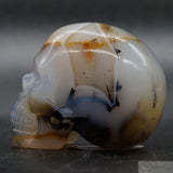 Agate Human Skull (Ag57)