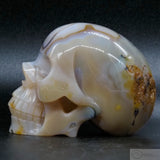 Agate Human Skull (Ag35)