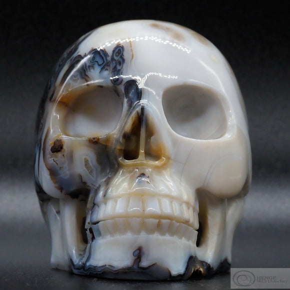 Agate Human Skull (Ag41)