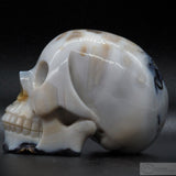 Agate Human Skull (Ag41)