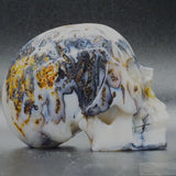 Agate Human Skull (Ag41)