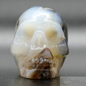 Agate Human Skull