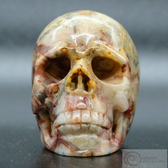 Crazy Lace Agate Human Skull
