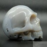 **RESERVED** Agate Human Skull (Ag15)