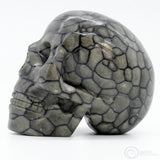 Alaskan Fossilised Coral Human Skull