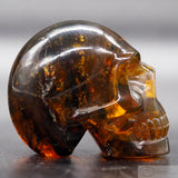 Amber Human Skull