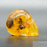 Amber Human Skull (Amb02)