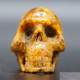 Amber Human Skull