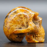 Amber Human Skull