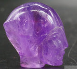 Amethyst Star Elfin (Am57)