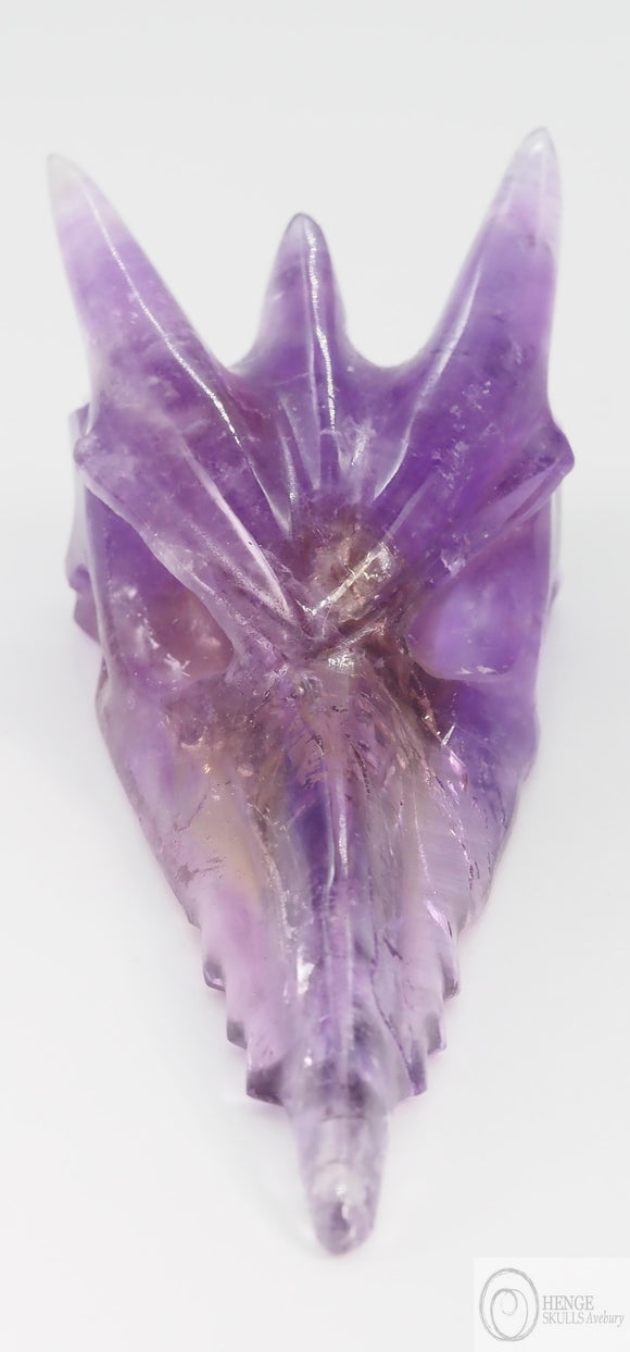 Amethyst Phoenix Skull (Am51)