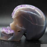 Agate Amethyst Geode (AM50)