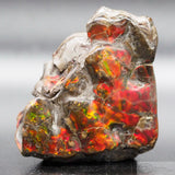 Ammolite Human Skull (Aml03)