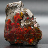 Ammolite Human Skull (Aml03)