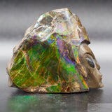 Ammolite Human Skull