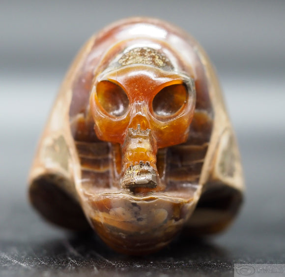 Ammonite Star Being (Amn12)