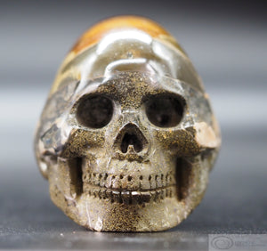 Ammonite Human Skull (Amn11)