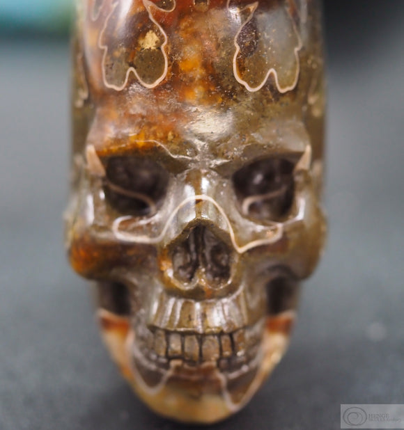 Ammonite Human Skull (Amn04)