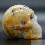 Andean Opal Human Skull (An0p01)