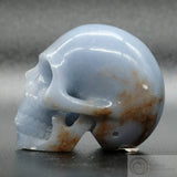 Angelite Human Skull