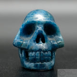 Apatite Human Skull (Ap02)