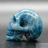 Apatite Human Skull (Ap02)