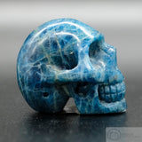 Apatite Human Skull (Ap02)