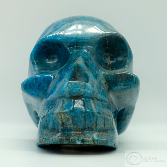 Apatite Human Skull (Ap01)