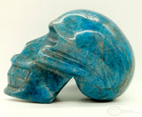 Apatite Human Skull (Ap01)