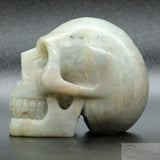 Aquamarine Human Skull (Aq03)