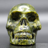 Atlantisite Human Skull