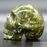 Atlantisite Human Skull